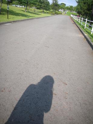 d0129083_1841337.jpg