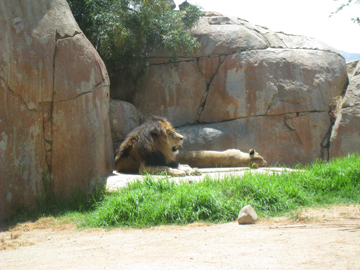 f0068883_15222065.jpg