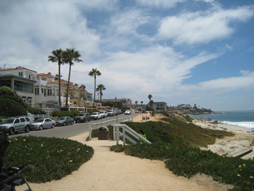 f0068883_1555218.jpg
