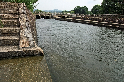 e0190885_18265179.jpg