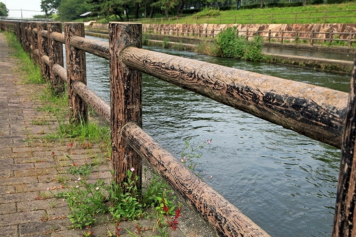 e0190885_1827927.jpg