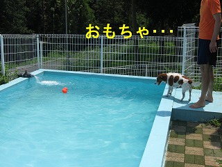 e0121589_2050431.jpg
