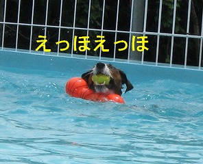 e0121589_20511752.jpg