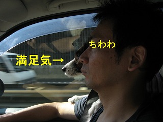 e0121589_21161475.jpg