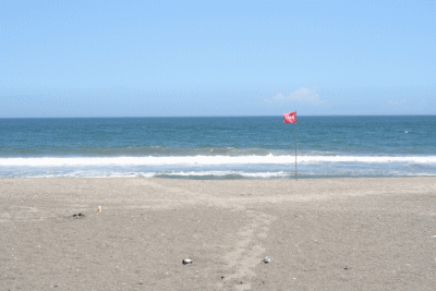 d0100192_13235391.gif