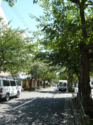 f0222692_1131352.jpg