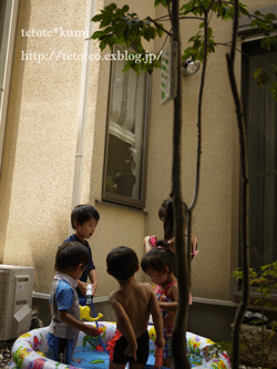 a0150193_2205628.gif