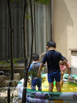 a0150193_221571.gif