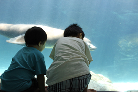 c0033994_547230.jpg