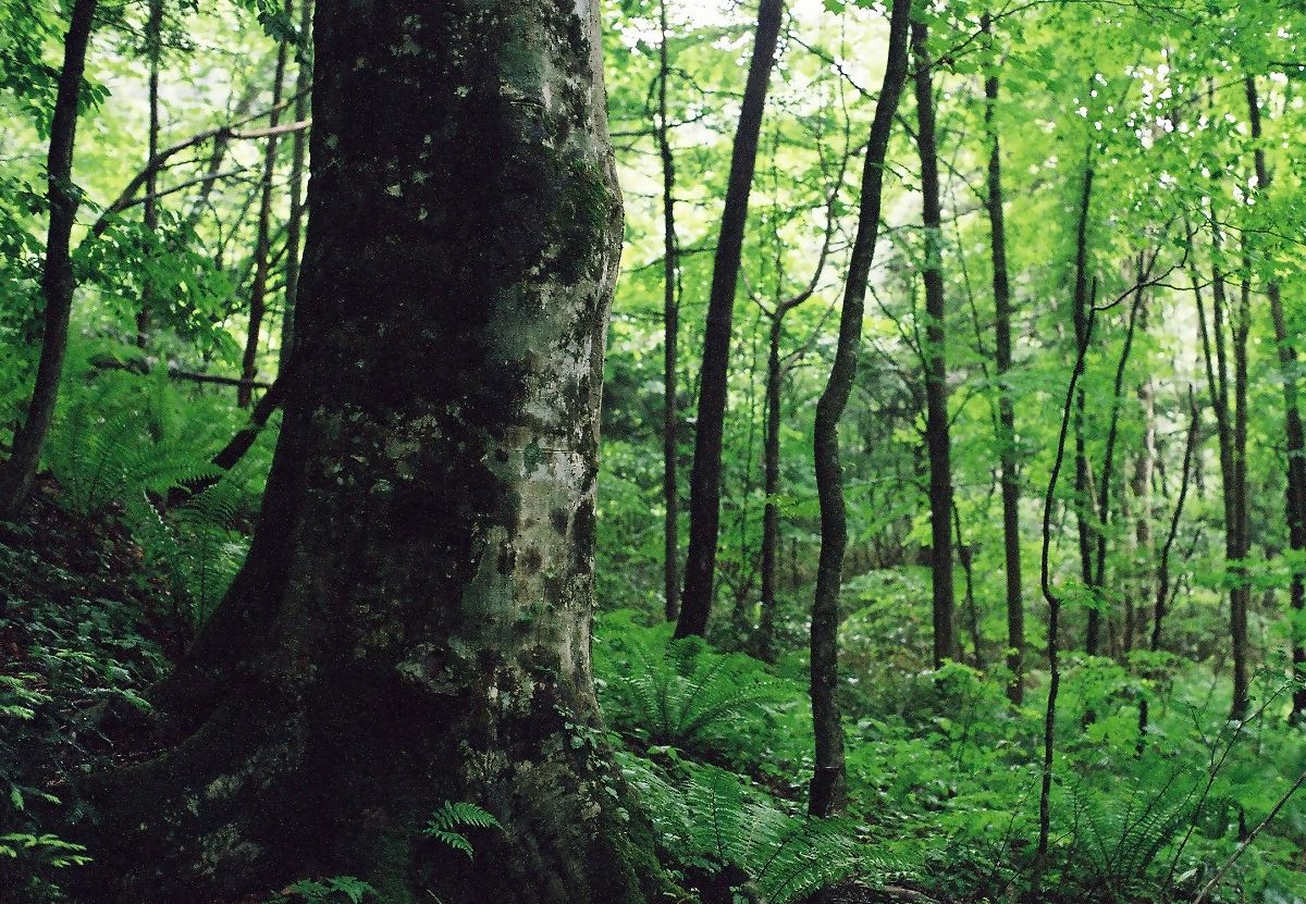 f0220698_014160.jpg