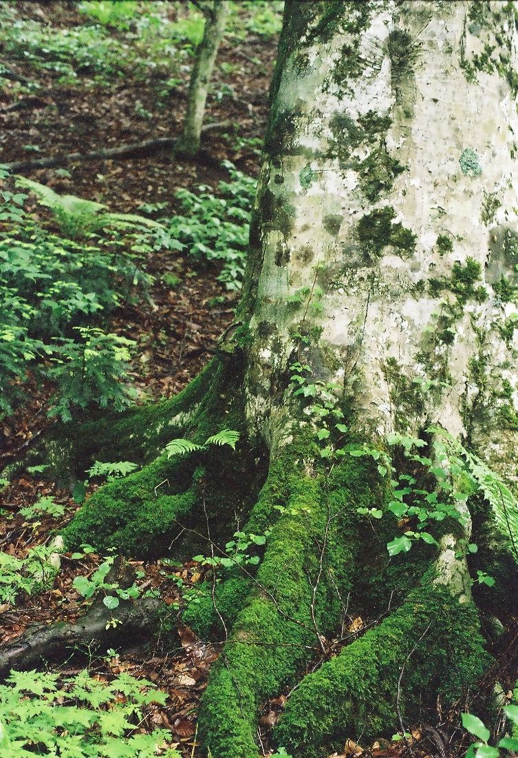 f0220698_041818.jpg