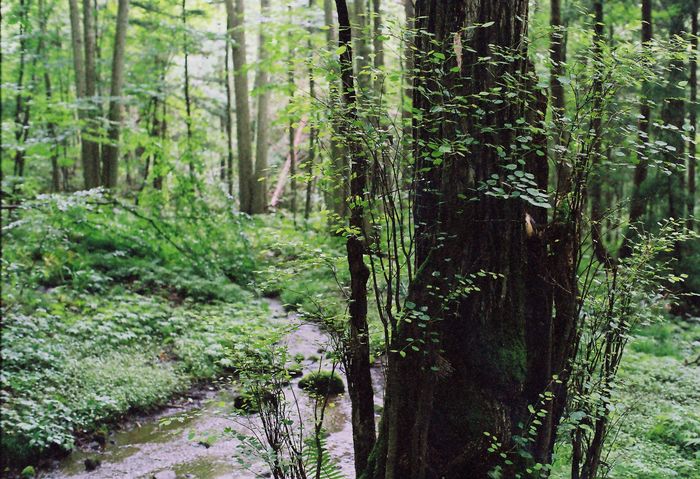 f0220698_085487.jpg