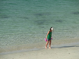 f0162302_1722132.jpg