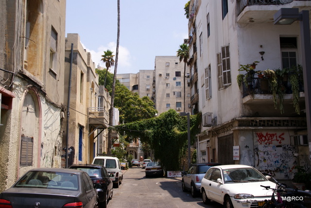 c0037611_1535204.jpg