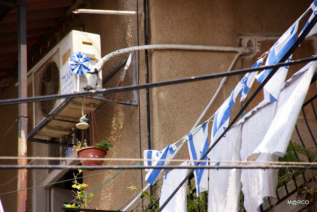 c0037611_15512227.jpg