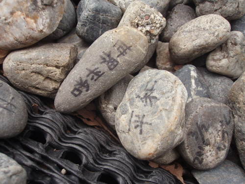 e0173911_1423216.jpg