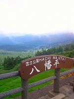 f0100911_21474729.jpg