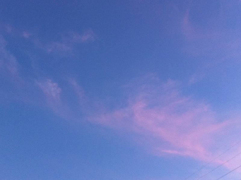 e0009714_2283775.jpg