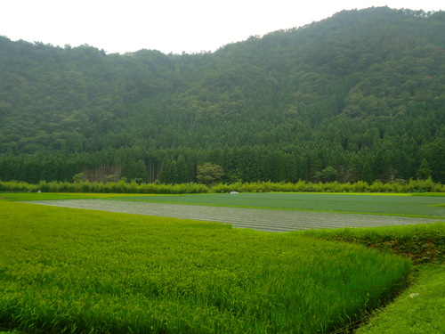 b0186321_8165843.jpg