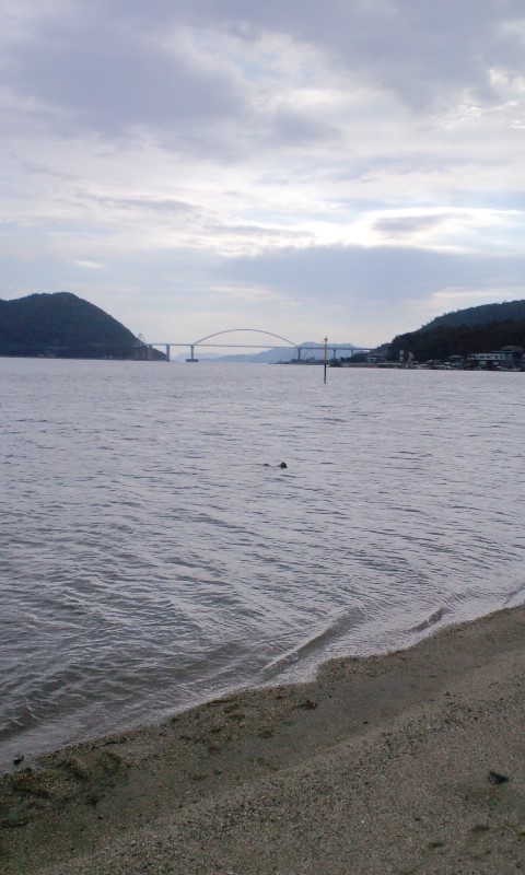 e0137731_0241036.jpg