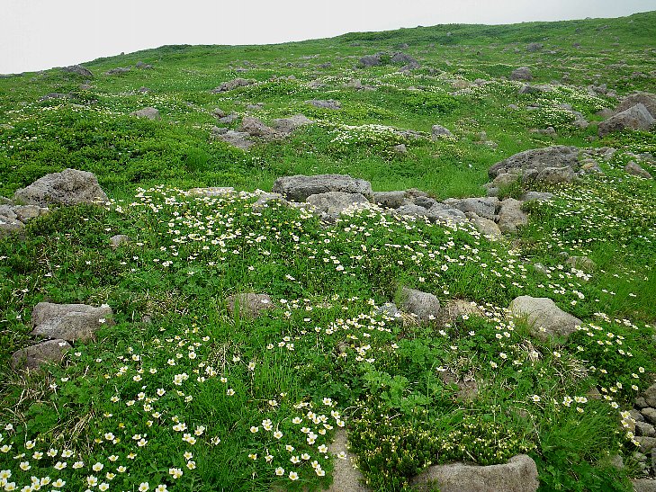 f0118332_23111820.jpg