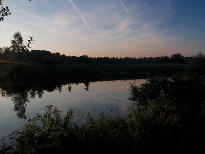 a0128333_1818320.jpg
