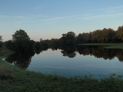 a0128333_185376.jpg