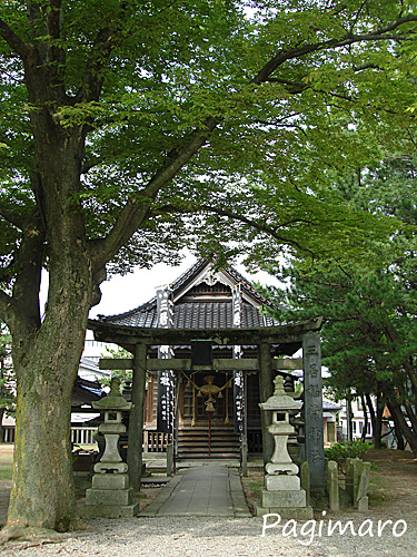 a0136036_18331427.jpg
