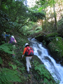 c0077338_21295356.jpg