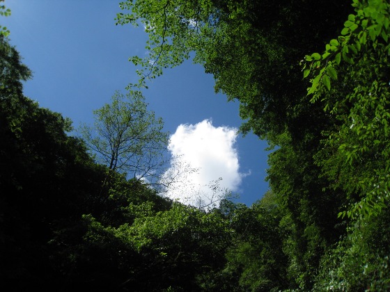 c0077338_21311481.jpg