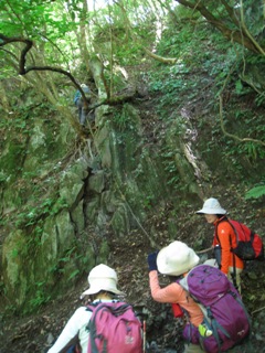 c0077338_21314016.jpg