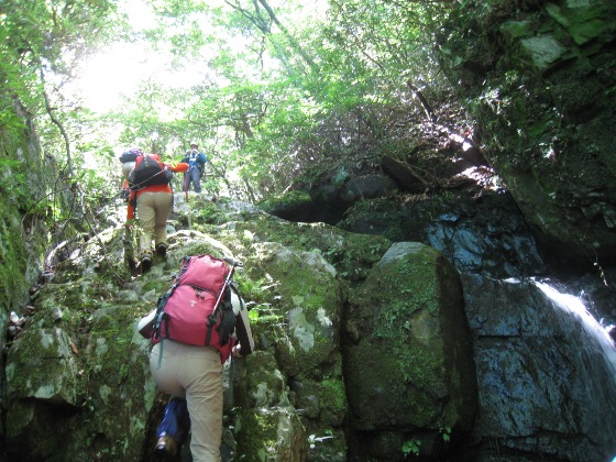 c0077338_21325245.jpg