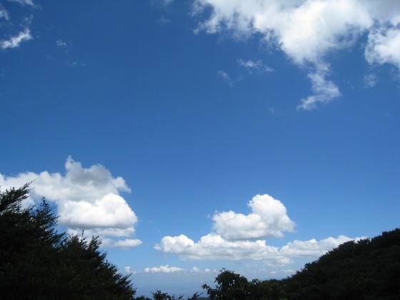 c0077338_21331320.jpg