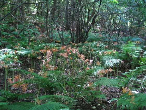 c0077338_21333681.jpg