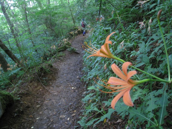 c0077338_21335130.jpg