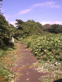 d0010039_1253250.jpg
