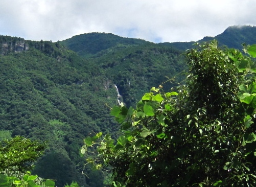 b0149340_19593885.jpg