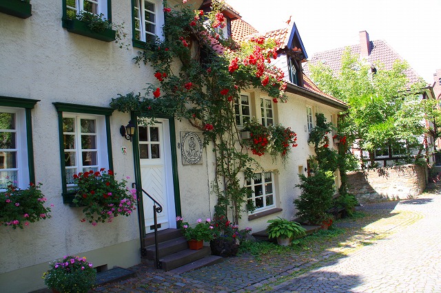 c0153740_19113540.jpg