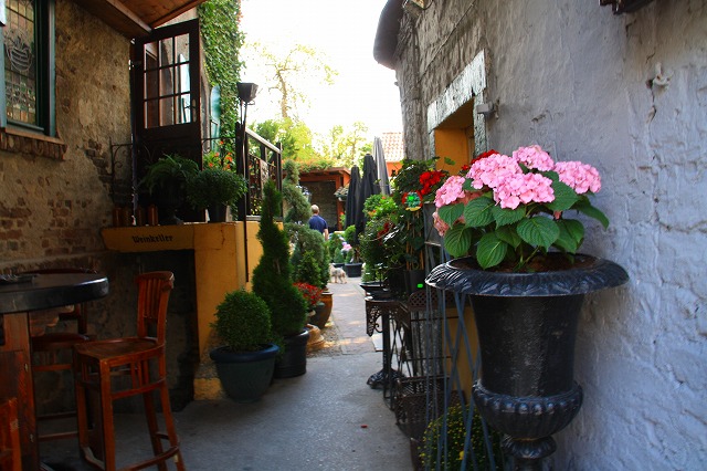 c0153740_1913437.jpg