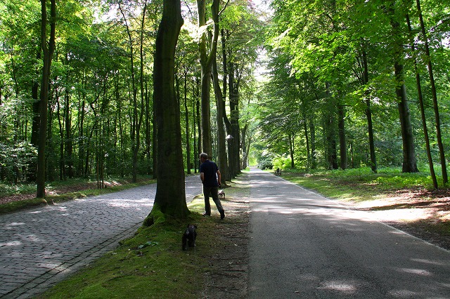 c0153740_1928858.jpg