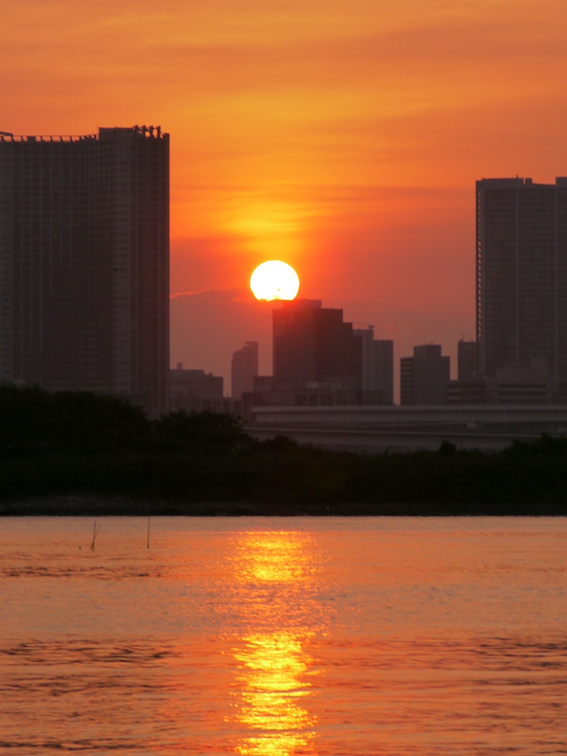 b0190242_14465098.jpg