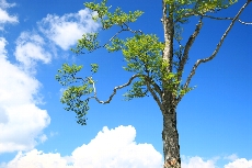 c0122445_18334488.jpg
