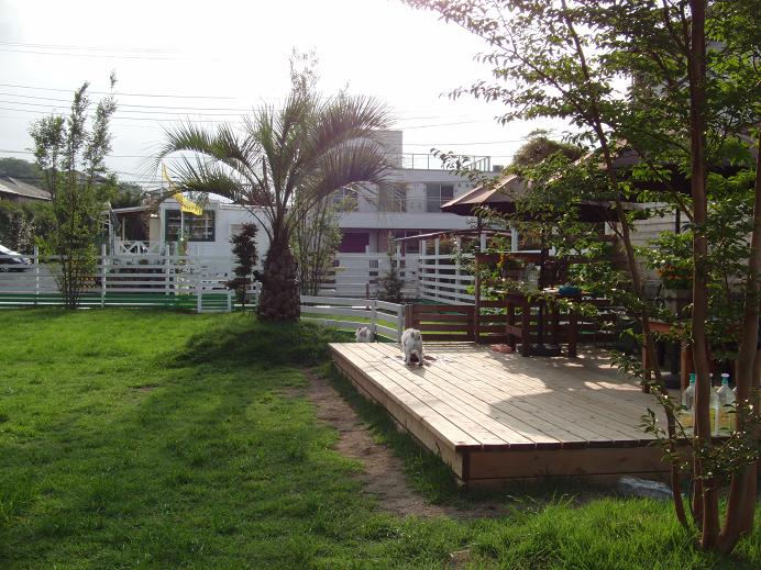 c0156345_18452838.jpg