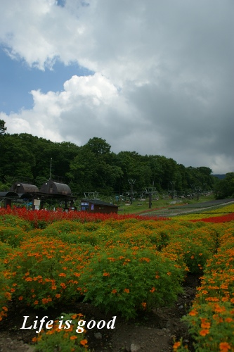 b0140347_16463893.jpg