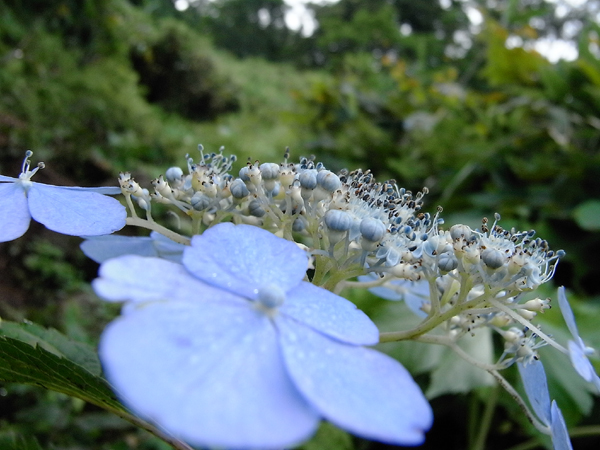 f0225953_22595546.jpg