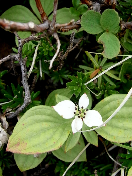 f0225953_23274491.jpg