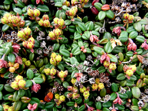f0225953_23422358.jpg