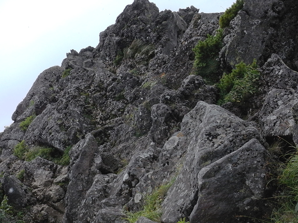 f0225953_234341100.jpg