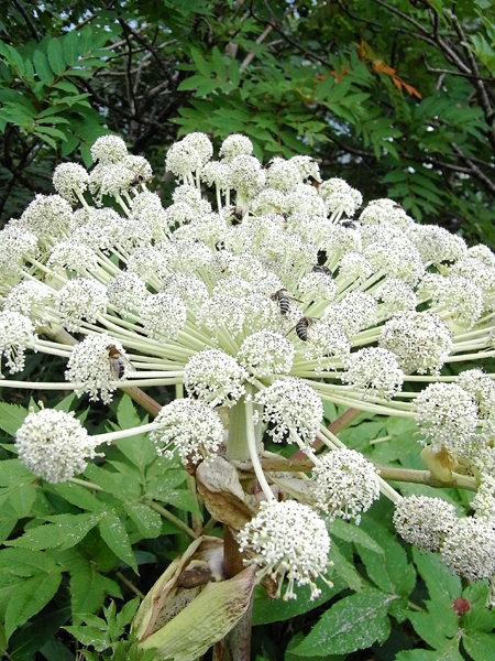 f0225953_2385245.jpg
