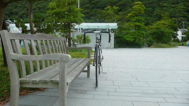 a0154461_15555929.jpg